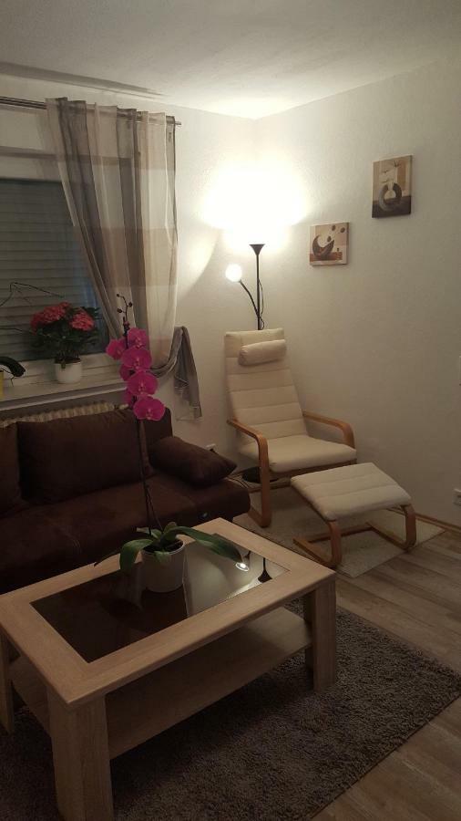 Ochmanns Ferienwohnung Meschede Bagian luar foto