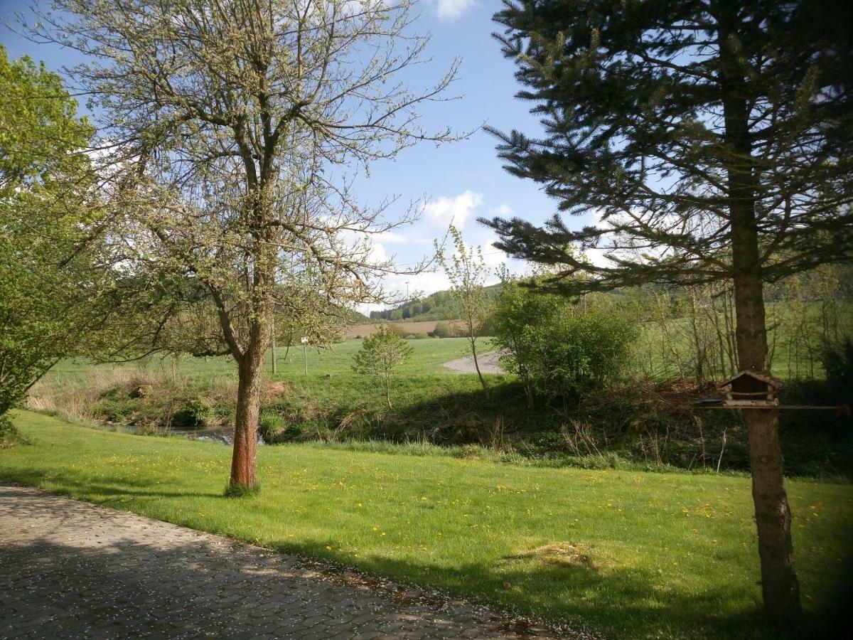 Ochmanns Ferienwohnung Meschede Bagian luar foto